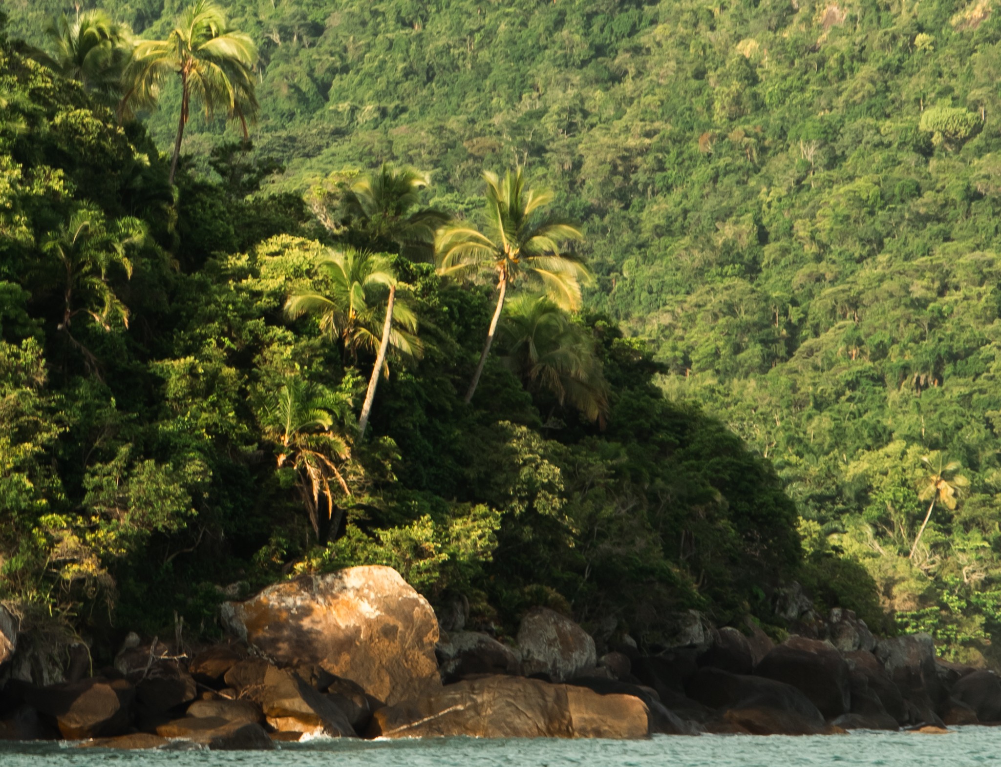 Montanhas de Ilhabela ainda escuras antes do amanhecer
